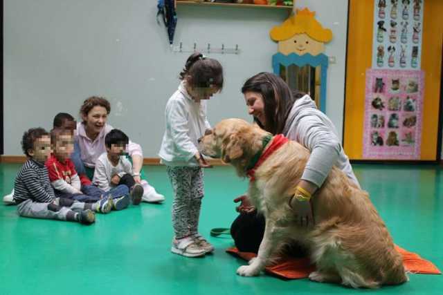 Si chiama Boris, ha 3 anni e va all�asilo con gli altri bimbi: ma � un cane